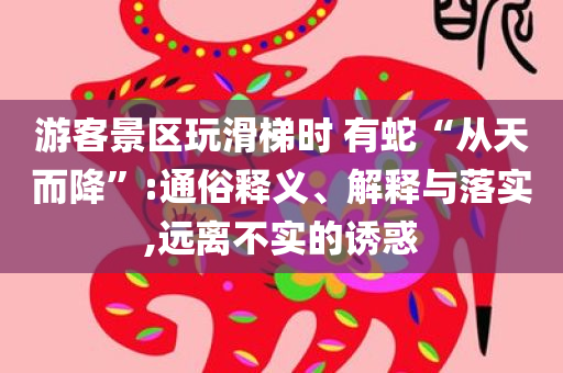 游客景区玩滑梯时 有蛇“从天而降”:通俗释义、解释与落实,远离不实的诱惑