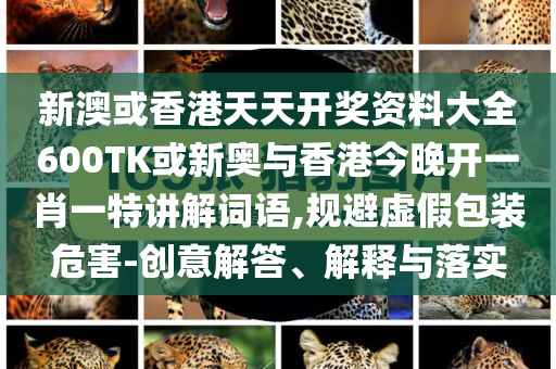 新澳或香港天天开奖资料大全600TK或新奥与香港今晚开一肖一特讲解词语,规避虚假包装危害-创意解答、解释与落实