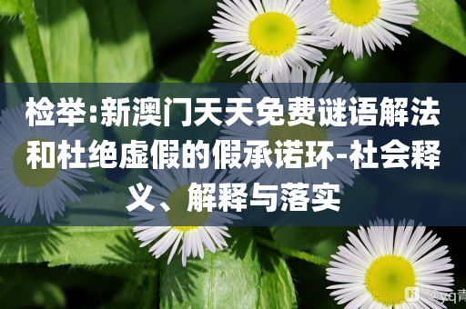 检举:新澳门天天免费谜语解法和杜绝虚假的假承诺环-社会释义、解释与落实