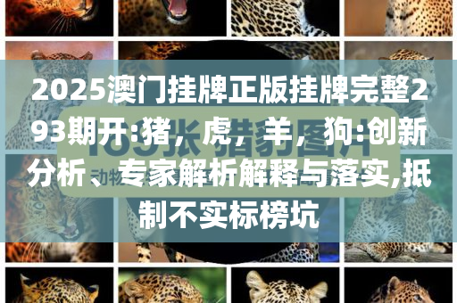 2025澳门挂牌正版挂牌完整293期开:猪，虎，羊，狗:创新分析、专家解析解释与落实,抵制不实标榜坑