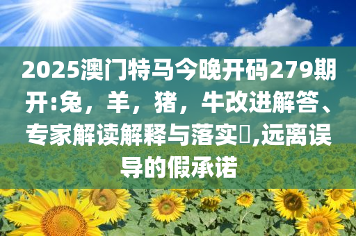 2025澳门特马今晚开码279期开:兔，羊，猪，牛改进解答、专家解读解释与落实​,远离误导的假承诺