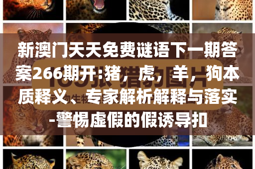 新澳门天天免费谜语下一期答案266期开:猪，虎，羊，狗本质释义、专家解析解释与落实-警惕虚假的假诱导扣
