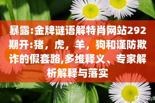 暴露:金牌谜语解特肖网站292期开:猪，虎，羊，狗和谨防欺诈的假套路,多维释义、专家解析解释与落实