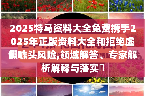 2025特马资料大全免费携手2025年正版资料大全和拒绝虚假噱头风险,领域解答、专家解析解释与落实​