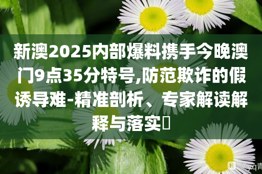 新澳2025内部爆料携手今晚澳门9点35分特号,防范欺诈的假诱导难-精准剖析、专家解读解释与落实​