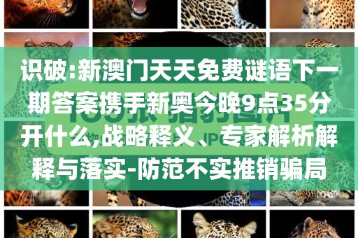 识破:新澳门天天免费谜语下一期答案携手新奥今晚9点35分开什么,战略释义、专家解析解释与落实-防范不实推销骗局