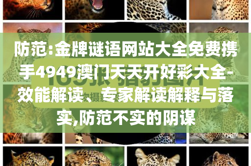 防范:金牌谜语网站大全免费携手4949澳门天天开好彩大全-效能解读、专家解读解释与落实,防范不实的阴谋
