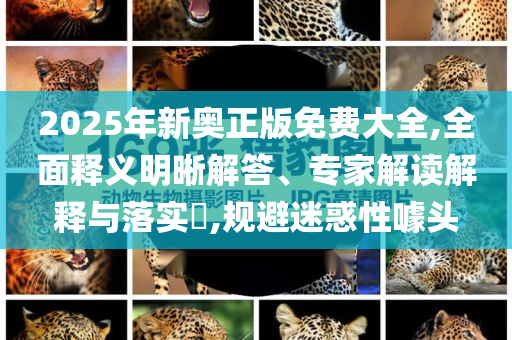 2025年新奥正版免费大全,全面释义明晰解答、专家解读解释与落实​,规避迷惑性噱头