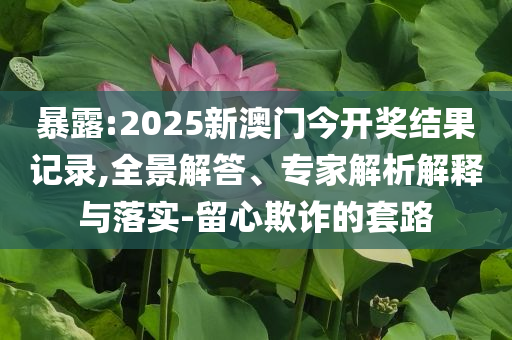 暴露:2025新澳门今开奖结果记录,全景解答、专家解析解释与落实-留心欺诈的套路