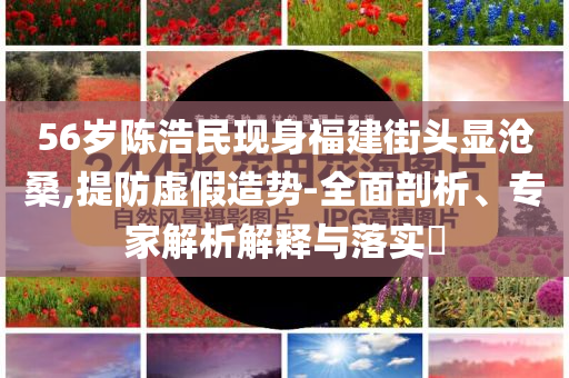 56岁陈浩民现身福建街头显沧桑,提防虚假造势-全面剖析、专家解析解释与落实​